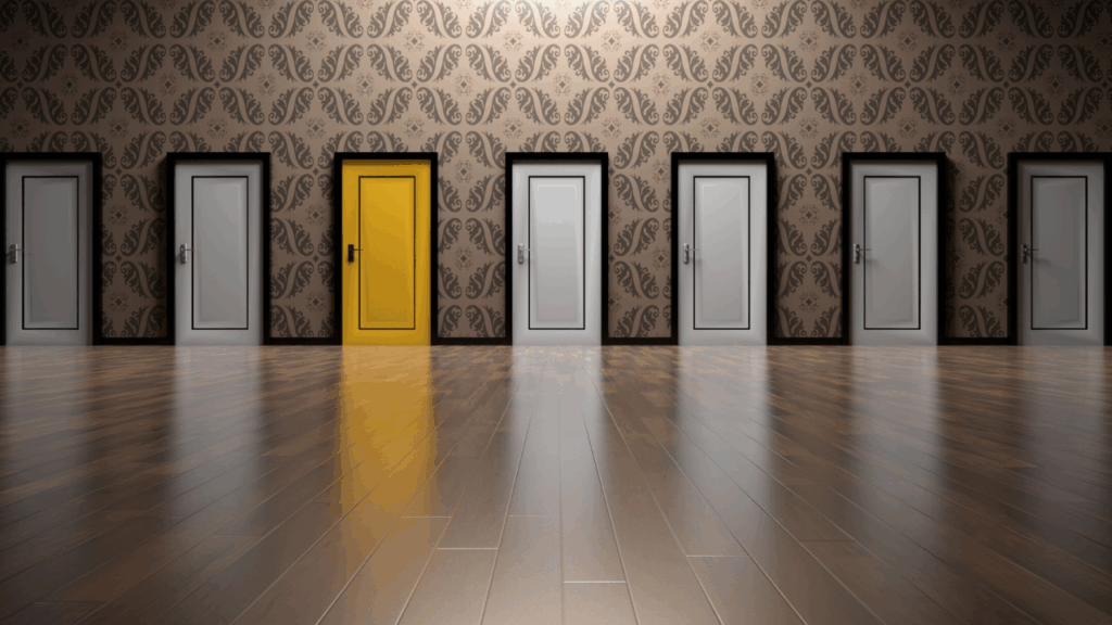 種類のイメージ画像