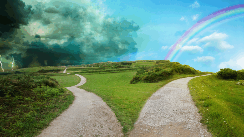 選択のイメージ画像